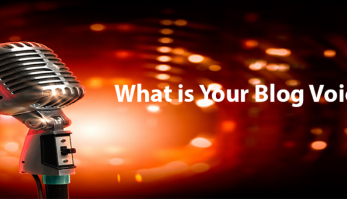 What is your Blog Voice