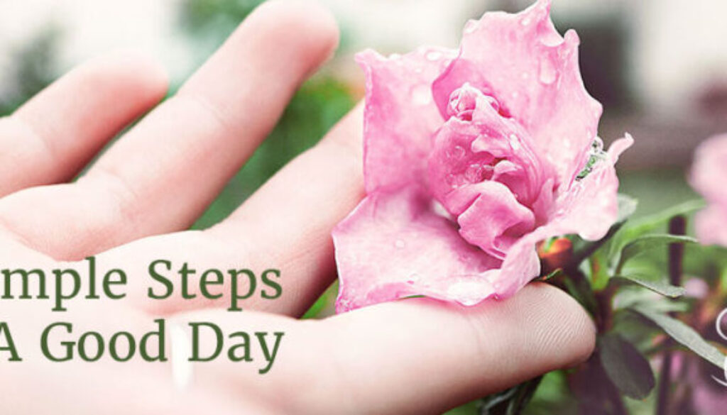 closeup hand touching pink rose 4 Simple Steps to A Good Day